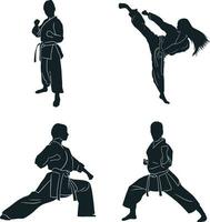 Karate Fighter Silhouette With Flat Design. Vector Illustration Set.