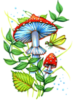 Watercolor illustration of forest elements watercolor mushrooms fly agaric, dragonfly, foliage, clip art png