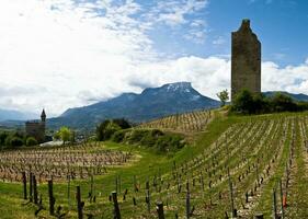 verde viñedos de chignin, saboya, Francia foto