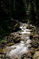 sereno alpino río en belledona, isere, Francia foto