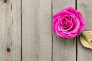 beautiful rose flower background. AI Generative Pro Photo