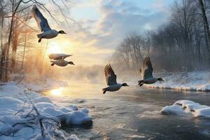 Nevado invierno paisaje con congelado río y volador gansos a atardecer, rebaño de salvaje patos volador terminado congelado río. fauna silvestre en invierno estación, ai generado foto