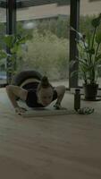 ein Frau ist tun Yoga im Vorderseite von ein Pflanze video