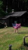 un mujer participación un americano bandera en frente de un cabina video