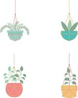 Hanging Potted Plant For Home Decoration. Isolated Vector Set.