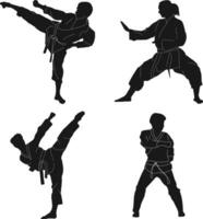 Karate Fighter Silhouette In White Background. Vector Illustration Set.