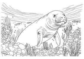 Seal coloring book, sea cow. Coral reef coloring book. vector