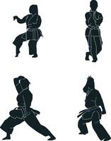 Karate Fighter Silhouette With Flat Design. Vector Illustration Set.