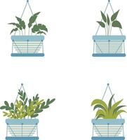 Hanging Potted Plant In White Background. Vector Illustration Set.