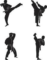 Karate Fighter In Different Pose. Isolated Vector Set.