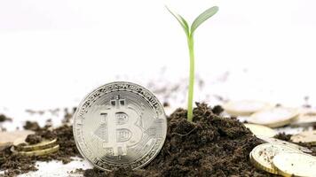 bitcoin e monete nel il terra video