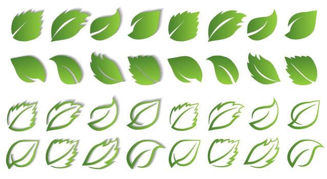 A set of green leaves on a white background with and without a shadow, for logos, designs, for the symbolism of the green planet vector
