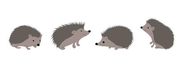 Cute hedgehog in various poses set. Vector Illustration isolated on white background