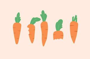 Set Vegetable Carrot Flat Design with Leaf vector