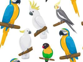 Vector tropical seamless pattern with australian parrots. Cartoon cute love bird, cockatoo, ara, macaw sitting on branch. Talking bright realistic exotic birds. Creative style summer beach print