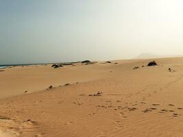 paisaje desde el Español canario isla fuerteventura con dunas y el Oceano foto