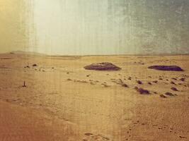 landscape from the Spanish Canary Island Fuerteventura with dunes and the ocean photo