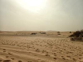 landscape from the Spanish Canary Island Fuerteventura with dunes and the ocean photo