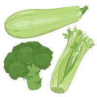 vector verde vegetales en plano estilo. brócoli, calabacín y un manojo de apio hojas en un blanco antecedentes. útil maduro granja verduras, adecuado para desintoxicación cóctel, vitamina zalamero. dibujos animados estilo.