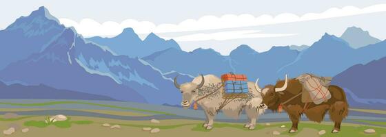 Himalayan yaks with a load on their back in a beautiful landscape. Vector illustration, flat style. Mountain horizontal landscape of Nepal. Pets in Mongolia and Tibet for transporting goods.