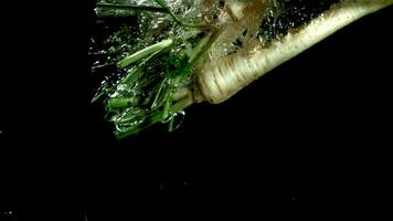 Parsley root puts under water. Filmed on a highspeed camera at 1000 fps. High quality FullHD footage video