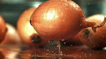 The onion falls onto the table with splashes. Filmed on a highspeed camera at 1000 fps. High quality FullHD footage video