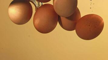 Eggs fall under water with bubbles. Filmed on a highspeed camera at 1000 fps. High quality FullHD footage video