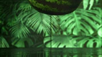 A whole watermelon falls on a wet table. Filmed on a highspeed camera at 1000 fps. High quality FullHD footage video