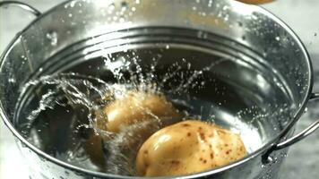 patates tomber dans une seau de l'eau. filmé sur une grande vitesse caméra à 1000 ips. haute qualité Full HD métrage video