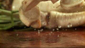 Chopped pieces of parsley fall on a wet table. Filmed on a highspeed camera at 1000 fps. High quality FullHD footage video