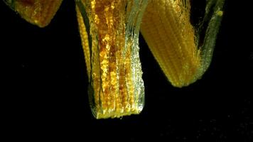 Corn falls underwater on a black background. Filmed on a highspeed camera at 1000 fps. High quality FullHD footage video
