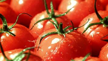 gocce di acqua autunno su pomodori. girato su un' ad alta velocità telecamera a 1000 fps. alto qualità FullHD metraggio video