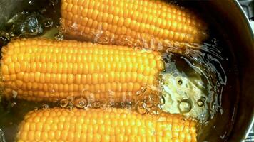 The corn is cooked in a pan with air bubbles. Filmed on a highspeed camera at 1000 fps. High quality FullHD footage video