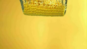 een oor van maïs valt onder water, Aan een geel achtergrond. gefilmd Aan een hoge snelheid camera Bij 1000 fps. hoog kwaliteit full HD beeldmateriaal video