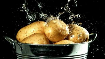 gotas do água outono em batatas dentro uma balde. filmado em uma alta velocidade Câmera às 1000 fps. Alto qualidade fullhd cenas video