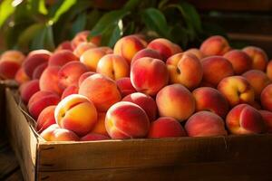 Fresh ripe peaches in a wooden box on a wooden tablem, Fresh picked peaches on display, AI Generated photo