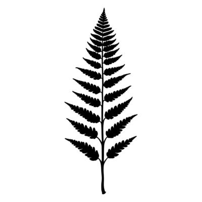 Fern leaf silhouette. Vector illustration