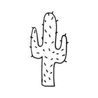 Cactus is a thorny plant. Grows on desert sands. Doodle. Vector illustration. Hand drawn. Outline.