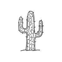 Cactus is a thorny plant. Grows on desert sands. Doodle. Vector illustration. Hand drawn. Outline.