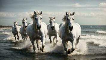 de cerca de blanco caballos correr a lo largo el costa mediante agua. negro y blanco.. ai generado foto