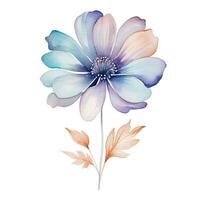 Abstract watercolor flower for design, colorful pastel, isolated illustration on white background. Generative AI photo