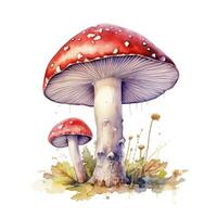 A pair of watercolor fly agarics. Simple illustration on white background. Generative AI photo