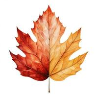 Watercolor illustration of a maple leaf. Autumn, leaf fall, clipart on a white background. Generative AI photo