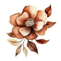 Abstract watercolor flower in boho style, brown beige color, isolated illustration on white background. Generative AI photo