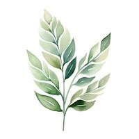 Green watercolor leaves, botanical illustration, plant set. Generative AI photo