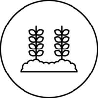 Wheat Plantation Vector Icon