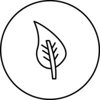 Leaf Vector Icon