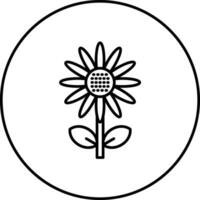 Sunflower Vector Icon