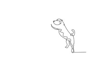 Animated self drawing of continuous line draw of friendly young happy boy giving high five gesture to his puppy dog at outfield park. Pet care and friendship concept. Full length single line animation video
