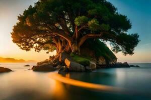 árbol en el rocas a puesta de sol. generado por ai foto